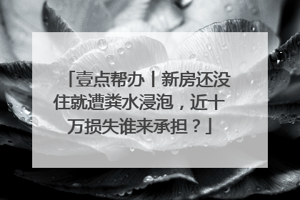 壹点帮办丨新房还没住就遭粪水浸泡，近十万损失谁来承担？
