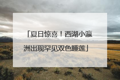 夏日惊喜！西湖小瀛洲出现罕见双色睡莲