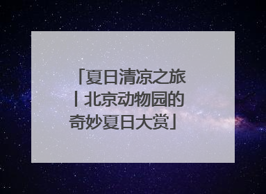 夏日清凉之旅丨北京动物园的奇妙夏日大赏