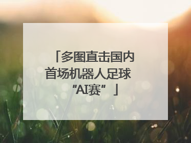 多图直击国内首场机器人足球“AI赛”