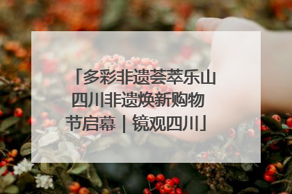 多彩非遗荟萃乐山 四川非遗焕新购物节启幕｜镜观四川