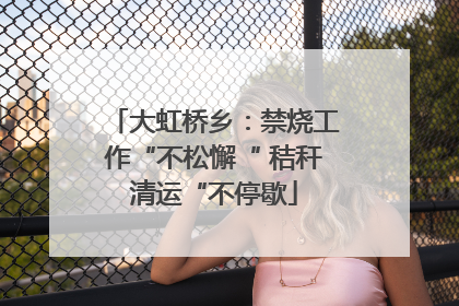 大虹桥乡：禁烧工作“不松懈“ 秸秆清运“不停歇
