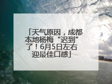 天气原因，成都本地杨梅“迟到”了！6月5日左右迎最佳口感