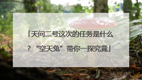 天问二号这次的任务是什么？“空天兔”带你一探究竟
