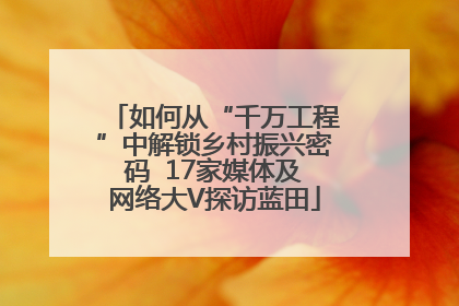 如何从“千万工程”中解锁乡村振兴密码  17家媒体及网络大V探访蓝田