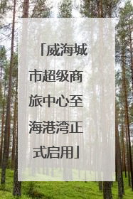 威海城市超级商旅中心至海港湾正式启用