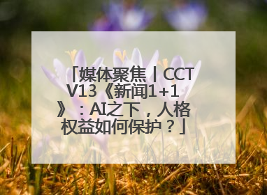 媒体聚焦丨CCTV13《新闻1+1》：AI之下，人格权益如何保护？