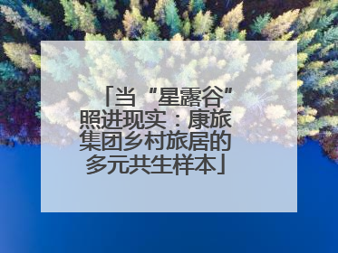 当“星露谷”照进现实：康旅集团乡村旅居的多元共生样本