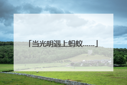 当光明遇上蚂蚁……