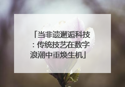 当非遗邂逅科技：传统技艺在数字浪潮中重焕生机