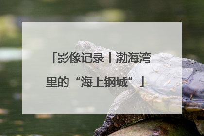 影像记录丨渤海湾里的“海上钢城”