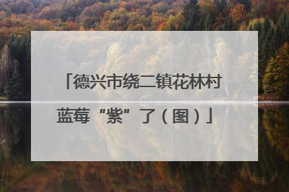 德兴市绕二镇花林村蓝莓“紫”了（图）