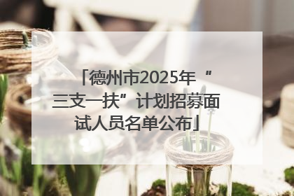 德州市2025年“三支一扶”计划招募面试人员名单公布