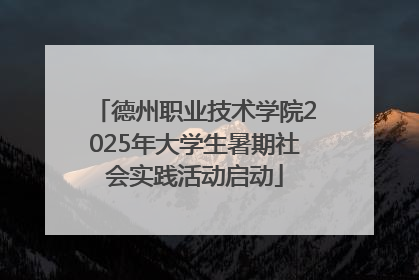 德州职业技术学院2025年大学生暑期社会实践活动启动