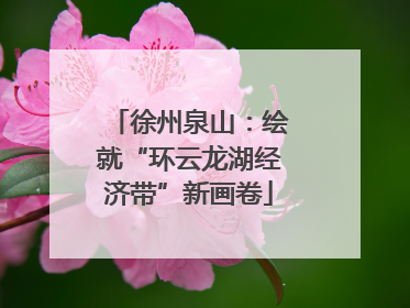 徐州泉山：绘就“环云龙湖经济带”新画卷