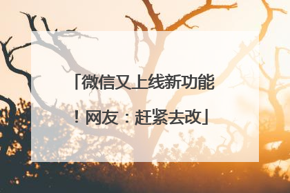 微信又上线新功能！网友：赶紧去改