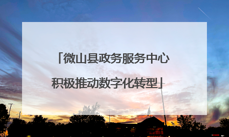 微山县政务服务中心积极推动数字化转型