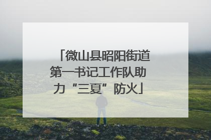 微山县昭阳街道第一书记工作队助力“三夏”防火