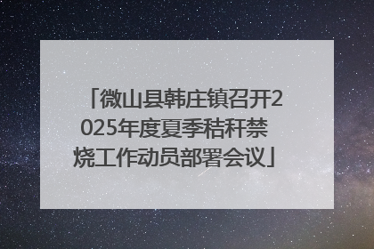 微山县韩庄镇召开2025年度夏季秸秆禁烧工作动员部署会议