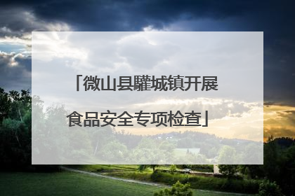 微山县驩城镇开展食品安全专项检查