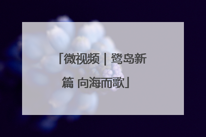 微视频｜鹭岛新篇 向海而歌
