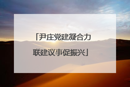尹庄党建凝合力 联建议事促振兴
