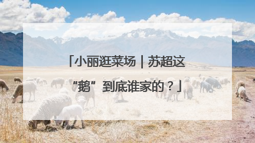 小丽逛菜场｜苏超这“鹅”到底谁家的？
