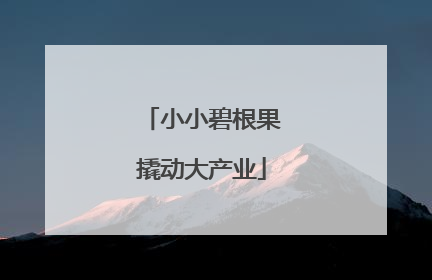 小小碧根果撬动大产业