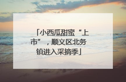 小西瓜甜蜜“上市”，顺义区北务镇进入采摘季