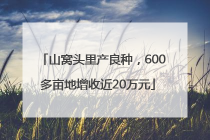 山窝头里产良种，600多亩地增收近20万元