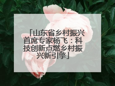 山东省乡村振兴首席专家杨飞：科技创新点燃乡村振兴新引擎