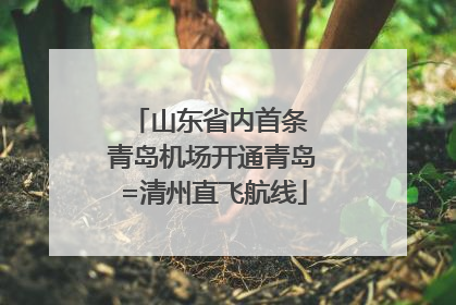 山东省内首条 青岛机场开通青岛=清州直飞航线