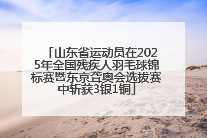 山东省运动员在2025年全国残疾人羽毛球锦标赛暨东京聋奥会选拔赛中斩获3银1铜