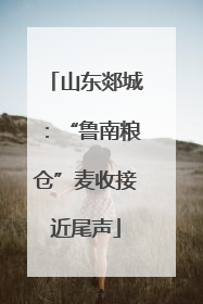 山东郯城：“鲁南粮仓”麦收接近尾声