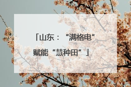 山东：“满格电”赋能“慧种田”