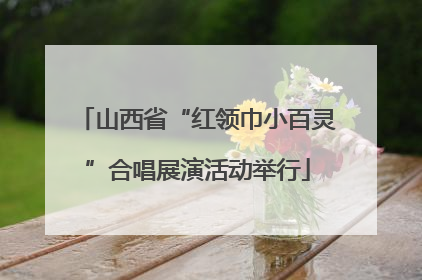 山西省“红领巾小百灵”合唱展演活动举行