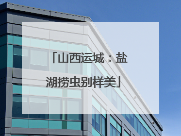 山西运城：盐湖捞虫别样美