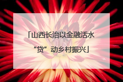 山西长治以金融活水“贷”动乡村振兴