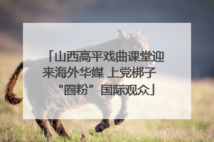 山西高平戏曲课堂迎来海外华媒 上党梆子“圈粉”国际观众