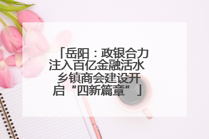 岳阳：政银合力注入百亿金融活水 乡镇商会建设开启“四新篇章”