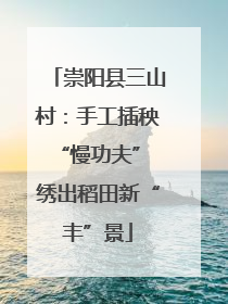 崇阳县三山村：手工插秧“慢功夫” 绣出稻田新“丰”景