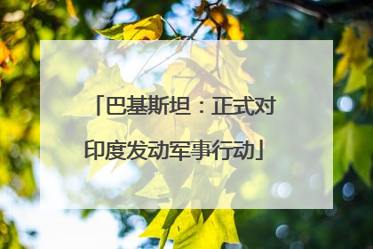 巴基斯坦：正式对印度发动军事行动