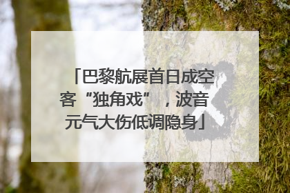 巴黎航展首日成空客“独角戏”，波音元气大伤低调隐身
