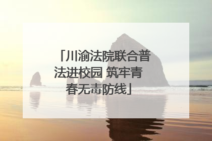 川渝法院联合普法进校园 筑牢青春无毒防线