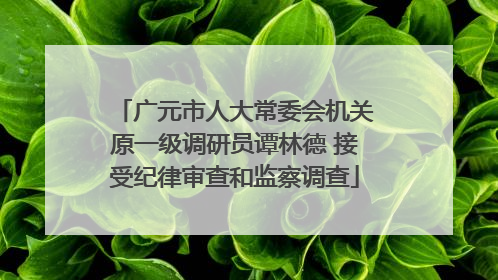 广元市人大常委会机关原一级调研员谭林德 接受纪律审查和监察调查