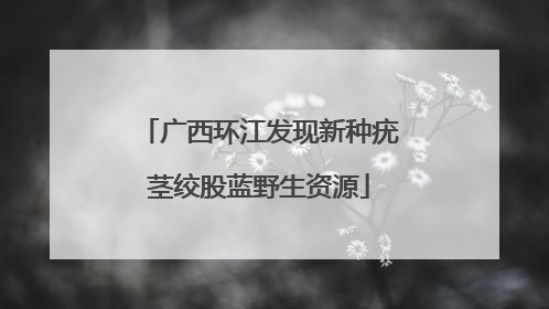 广西环江发现新种疣茎绞股蓝野生资源