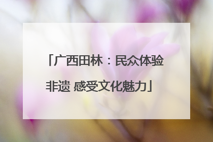 广西田林：民众体验非遗 感受文化魅力