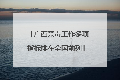 广西禁毒工作多项指标排在全国前列