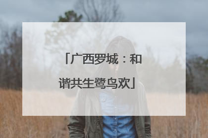 广西罗城：和谐共生鹭鸟欢