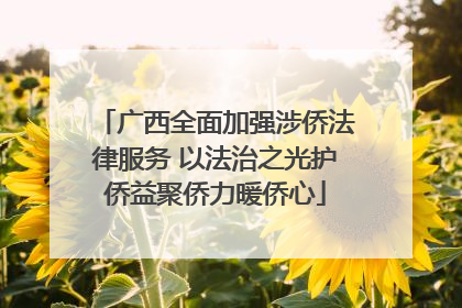 广西全面加强涉侨法律服务 以法治之光护侨益聚侨力暖侨心